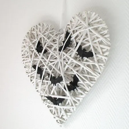 Fledermaeuschen Διαμέρισμα