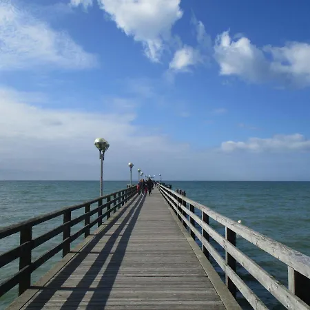 Fledermaeuschen Graal-Mueritz